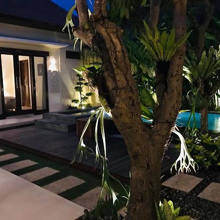 Villa Apanya Sanur Экстерьер фото